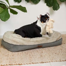 Honey Possum Pet Bed